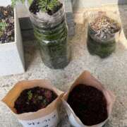 ヒメ日記 2025/06/11 13:21 投稿 有里 人妻デリバリーパコパコママ一宮店