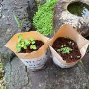 ヒメ日記 2025/06/17 13:09 投稿 有里 人妻デリバリーパコパコママ一宮店