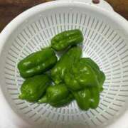 ヒメ日記 2025/07/12 13:21 投稿 有里 人妻デリバリーパコパコママ一宮店