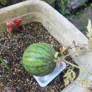 ヒメ日記 2025/09/10 13:21 投稿 有里 人妻デリバリーパコパコママ一宮店