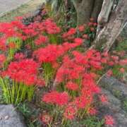 ヒメ日記 2025/10/03 13:21 投稿 有里 人妻デリバリーパコパコママ一宮店