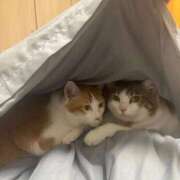 ヒメ日記 2025/10/12 04:41 投稿 有里 人妻デリバリーパコパコママ一宮店