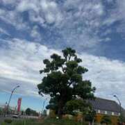 ヒメ日記 2025/10/20 10:02 投稿 有里 人妻デリバリーパコパコママ一宮店