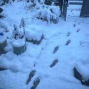 ヒメ日記 2026/01/12 07:51 投稿 有里 人妻デリバリーパコパコママ一宮店