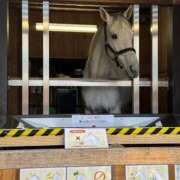 ヒメ日記 2026/03/09 12:30 投稿 有里 人妻デリバリーパコパコママ一宮店