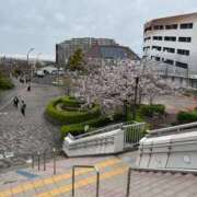 ヒメ日記 2026/04/01 12:03 投稿 有里 人妻デリバリーパコパコママ一宮店