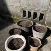 ヒメ日記 2026/04/06 12:21 投稿 有里 人妻デリバリーパコパコママ一宮店