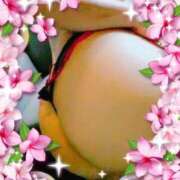 ヒメ日記 2026/04/12 11:51 投稿 有里 人妻デリバリーパコパコママ一宮店