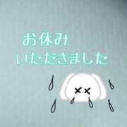 ヒメ日記 2026/02/24 08:31 投稿 まお 人妻デリバリーパコパコママ一宮店