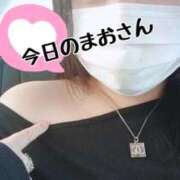 ヒメ日記 2026/04/03 10:51 投稿 まお 人妻デリバリーパコパコママ一宮店
