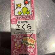 ヒメ日記 2026/01/26 10:36 投稿 サクラ Club 妻