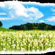 ヒメ日記 2025/09/14 13:27 投稿 ミキ Club 妻