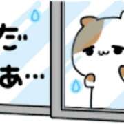 ヒメ日記 2026/04/01 13:36 投稿 ミキ Club 妻