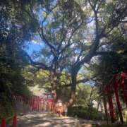 ヒメ日記 2025/11/01 23:15 投稿 三船 ひびき 30代40代50代と遊ぶなら博多人妻専科24時