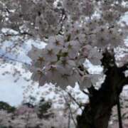 ヒメ日記 2025/04/28 18:45 投稿 めい 逆痴漢