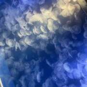 ヒメ日記 2025/09/18 12:36 投稿 まみ チアガール