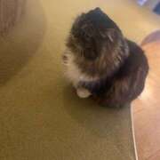 ヒメ日記 2025/12/13 08:50 投稿 まみ チアガール