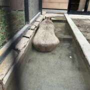 ヒメ日記 2025/01/16 16:12 投稿 あゆ 鶯谷デリヘル倶楽部