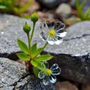 ヒメ日記 2025/01/19 00:12 投稿 あゆ 鶯谷デリヘル倶楽部