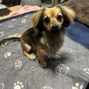 ヒメ日記 2025/01/21 22:32 投稿 あゆ 鶯谷デリヘル倶楽部