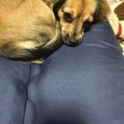 ヒメ日記 2025/01/26 21:52 投稿 あゆ 鶯谷デリヘル倶楽部