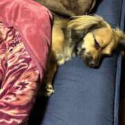 ヒメ日記 2025/01/28 22:39 投稿 あゆ 鶯谷デリヘル倶楽部