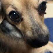 ヒメ日記 2025/02/09 00:20 投稿 あゆ 鶯谷デリヘル倶楽部