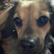 ヒメ日記 2025/02/14 21:32 投稿 あゆ 鶯谷デリヘル倶楽部