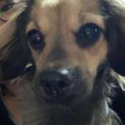 ヒメ日記 2025/04/15 22:24 投稿 あゆ 鶯谷デリヘル倶楽部