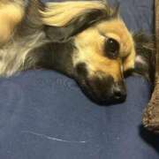 ヒメ日記 2025/05/24 22:42 投稿 あゆ 鶯谷デリヘル倶楽部