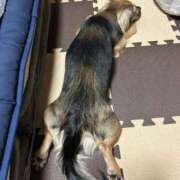 ヒメ日記 2025/05/27 23:01 投稿 あゆ 鶯谷デリヘル倶楽部