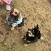 ヒメ日記 2025/06/02 15:52 投稿 あゆ 鶯谷デリヘル倶楽部