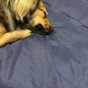 ヒメ日記 2025/06/09 00:07 投稿 あゆ 鶯谷デリヘル倶楽部