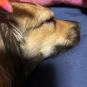 ヒメ日記 2025/06/11 22:36 投稿 あゆ 鶯谷デリヘル倶楽部