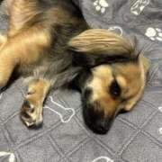 ヒメ日記 2025/06/21 23:12 投稿 あゆ 鶯谷デリヘル倶楽部