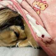 ヒメ日記 2025/07/30 15:23 投稿 あゆ 鶯谷デリヘル倶楽部