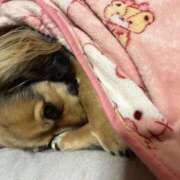 ヒメ日記 2025/09/20 18:45 投稿 あゆ 鶯谷デリヘル倶楽部