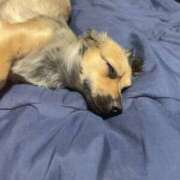 ヒメ日記 2025/10/10 23:32 投稿 あゆ 鶯谷デリヘル倶楽部