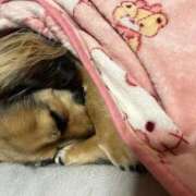 ヒメ日記 2025/10/14 09:26 投稿 あゆ 鶯谷デリヘル倶楽部