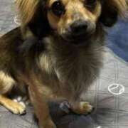 ヒメ日記 2026/04/02 15:12 投稿 あゆ 鶯谷デリヘル倶楽部