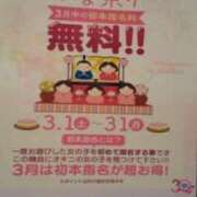 ヒメ日記 2025/03/01 12:19 投稿 みき ぼいんWORK