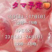 ヒメ日記 2025/08/15 19:16 投稿 しの 快楽玉乱堂