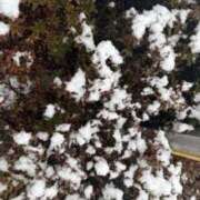 ヒメ日記 2026/02/08 09:36 投稿 しの 快楽玉乱堂