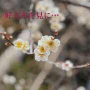 ヒメ日記 2026/02/09 21:46 投稿 しの 快楽玉乱堂