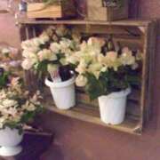 ヒメ日記 2026/02/28 09:34 投稿 安西　ゆうか 昼下がりの情事