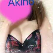 ヒメ日記 2025/04/06 20:18 投稿 亜紀乃(あきの) デザインヴィオラ東京