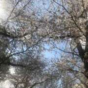 ヒメ日記 2026/03/30 15:28 投稿 亜紀乃(あきの) デザインヴィオラ東京