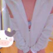 ヒメ日記 2025/04/01 15:08 投稿 春田和佳奈 五十路マダム 浜松店(カサブランカグループ)