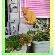 ヒメ日記 2025/06/17 19:06 投稿 春田和佳奈 五十路マダム 浜松店(カサブランカグループ)