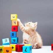 ヒメ日記 2025/08/01 14:04 投稿 春田和佳奈 五十路マダム 浜松店(カサブランカグループ)